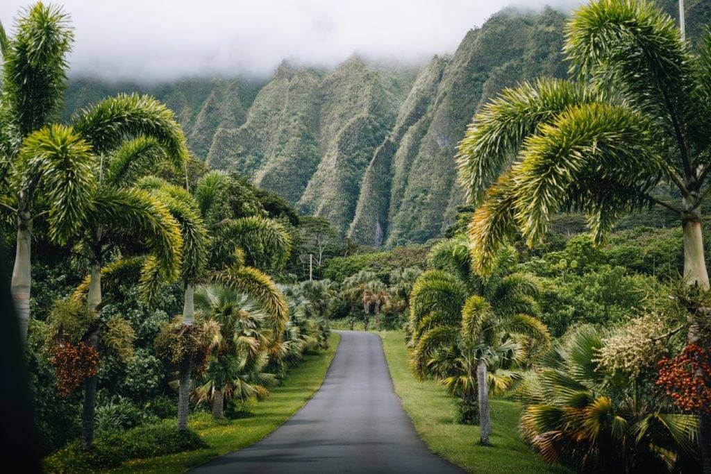 An open road in the heart of Hawaii. Hawaii car shipping.