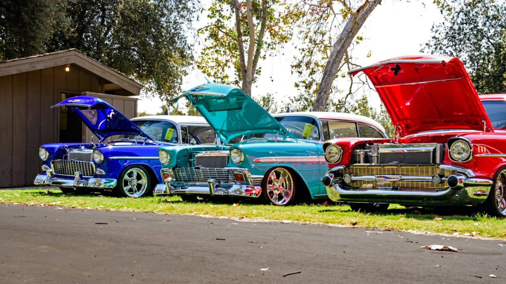 Three Chevrolet Bel-Air's parked on grass with the hoods open. NTS is the auto transport industry leader. Vehicle transport Company.